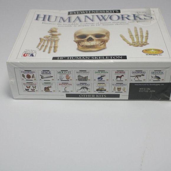 HUMANWORKS EYEWITNESS 18" CASTING KIT HUMAN SKELETON - Picture 4 of 4